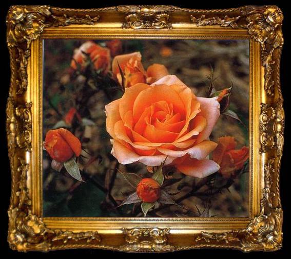 framed  unknow artist Still life floral, all kinds of reality flowers oil painting  245, ta009-2